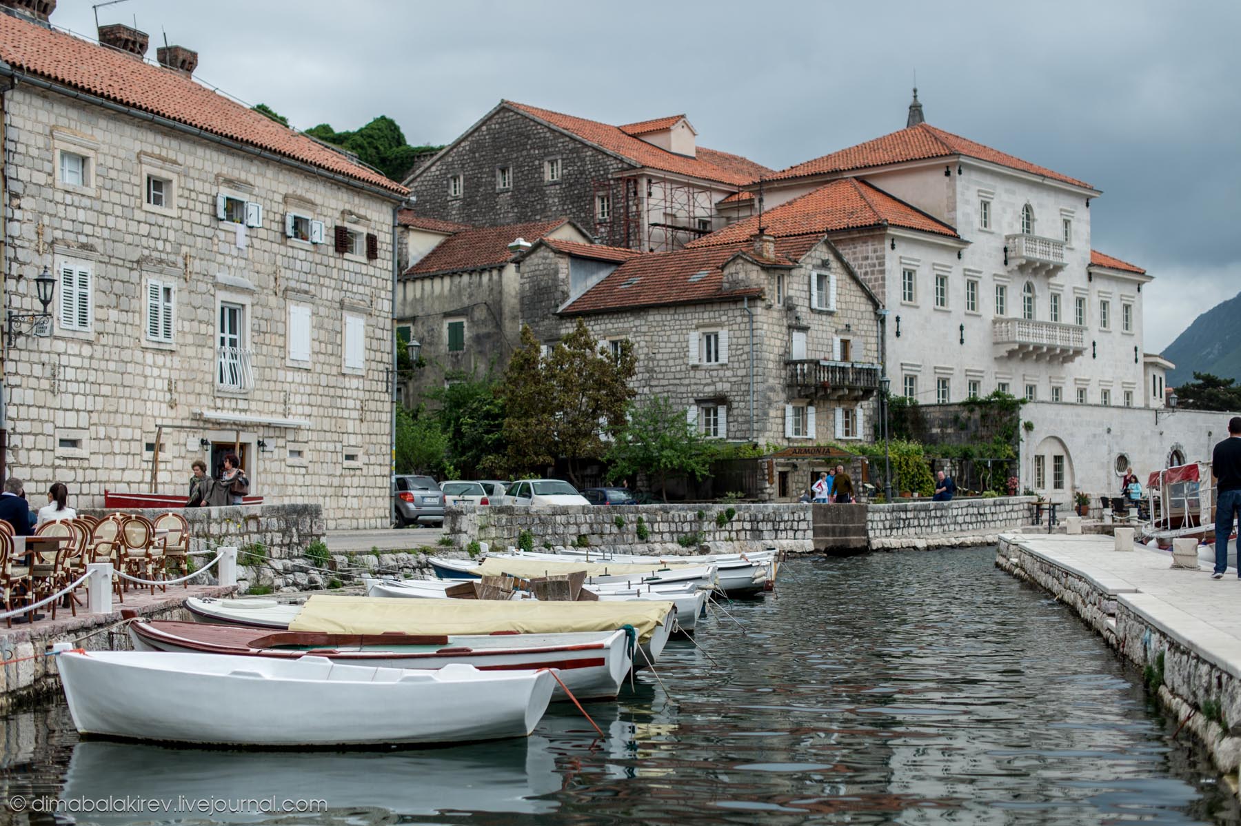 Kotor